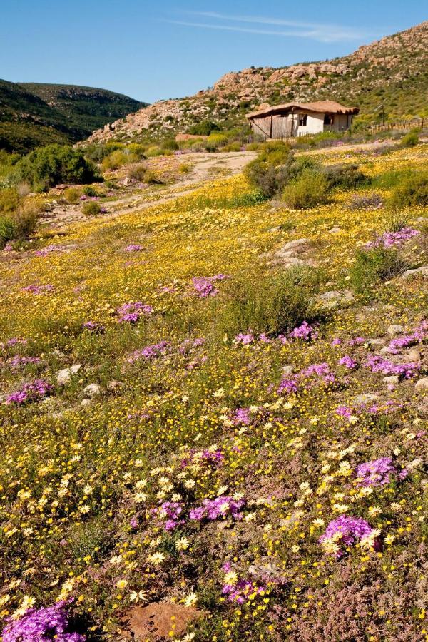 Vila Oudrif Farm Clanwilliam Exteriér fotografie
