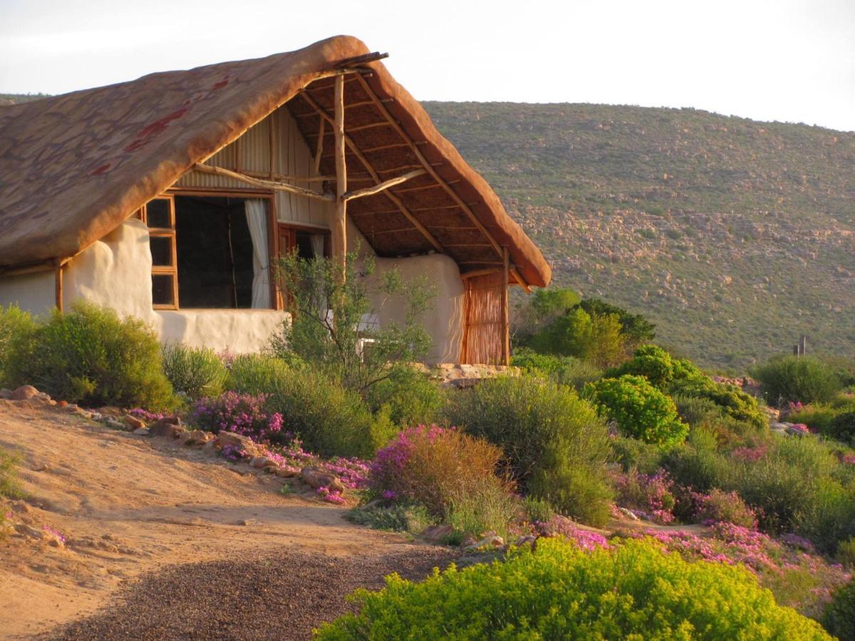 Vila Oudrif Farm Clanwilliam Exteriér fotografie