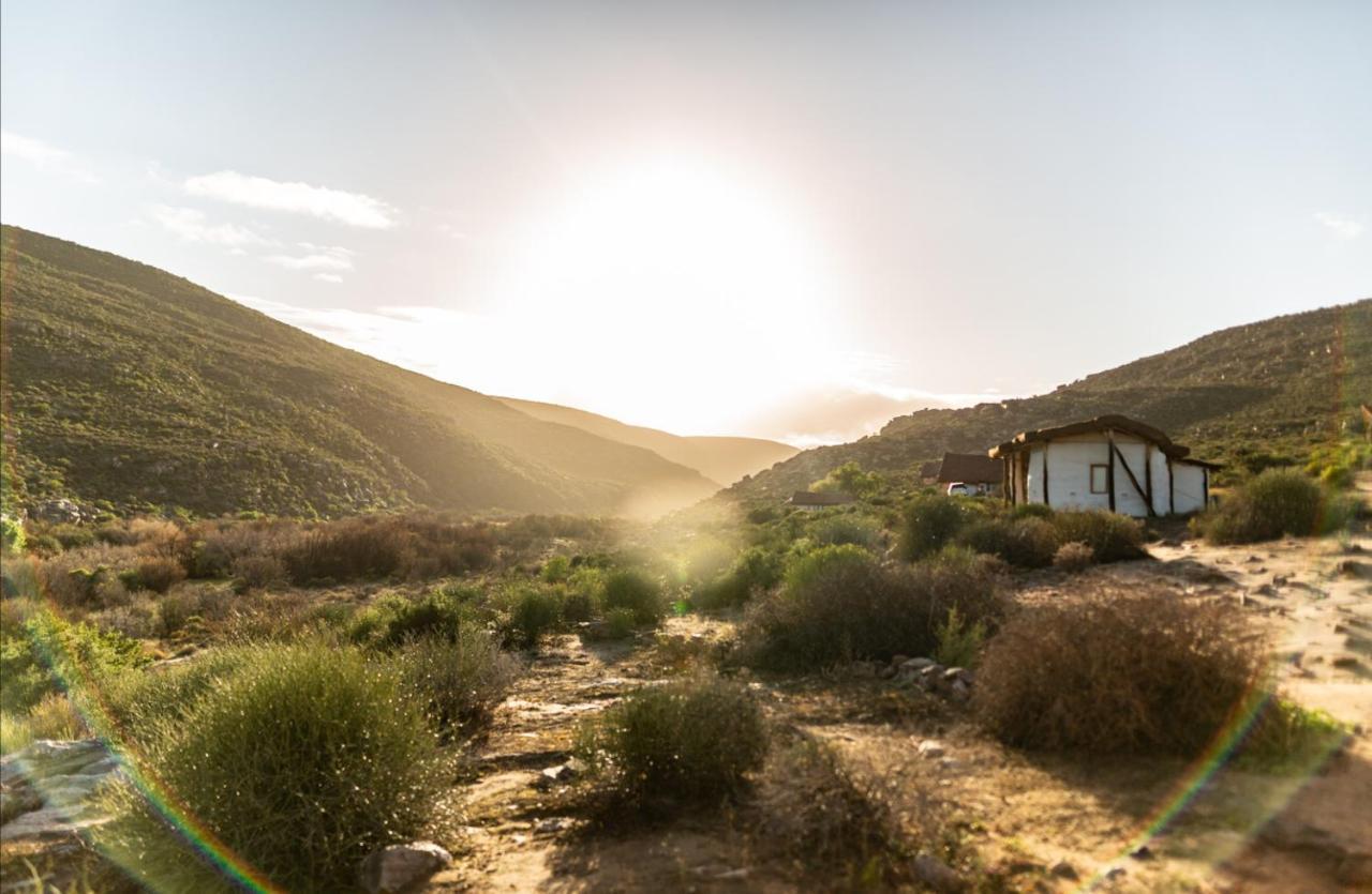 Vila Oudrif Farm Clanwilliam Exteriér fotografie