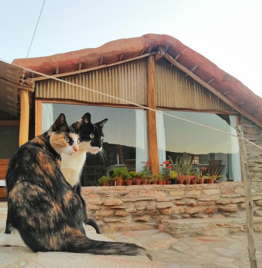 Vila Oudrif Farm Clanwilliam Exteriér fotografie