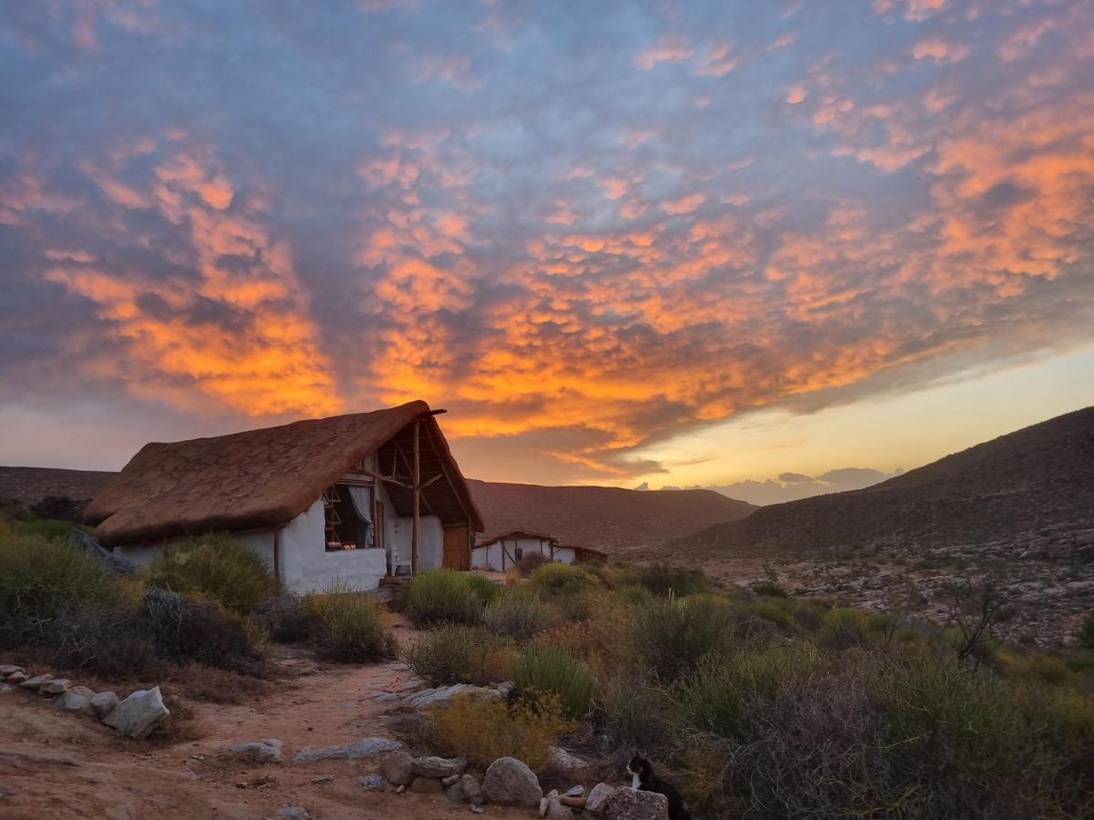 Vila Oudrif Farm Clanwilliam Exteriér fotografie